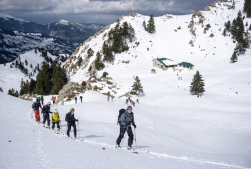 Ψάχνοντας τη λεοπάρδαλη στην Πίνδο…